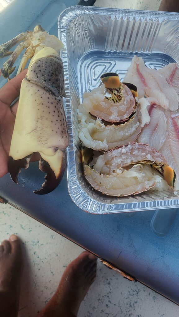 "A close-up of a massive, meaty lobster claw and fresh fillets being prepared for a guest's meal."