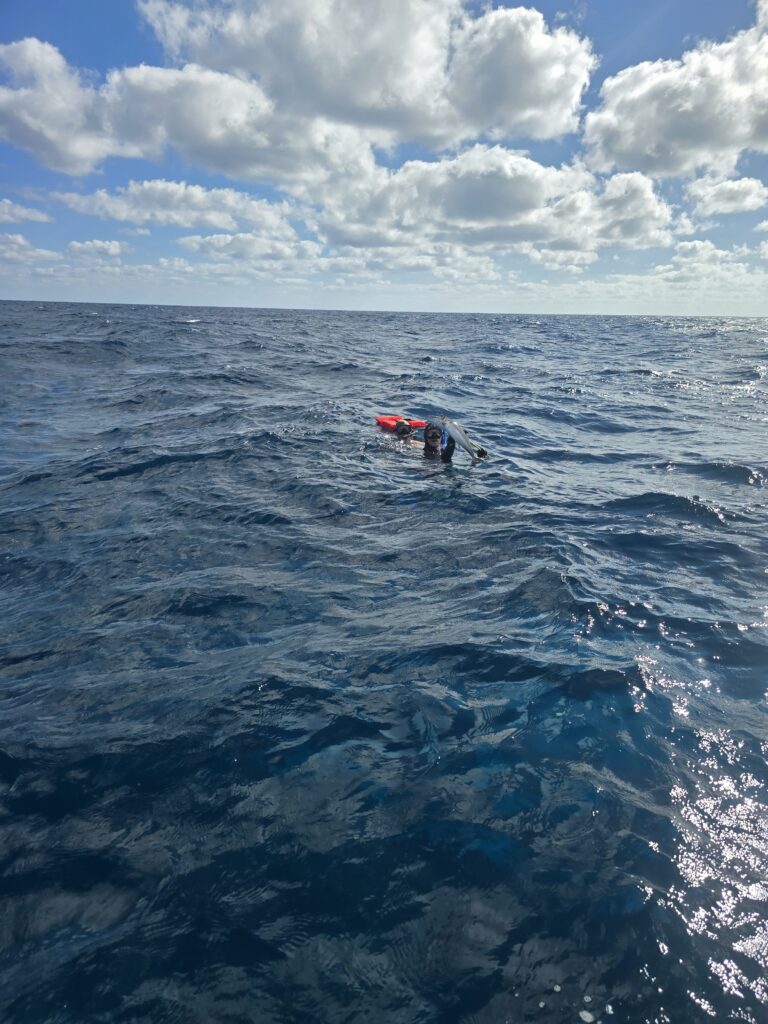 "Beautiful, calm turquoise waters extending toward the horizon under a clear blue sky."