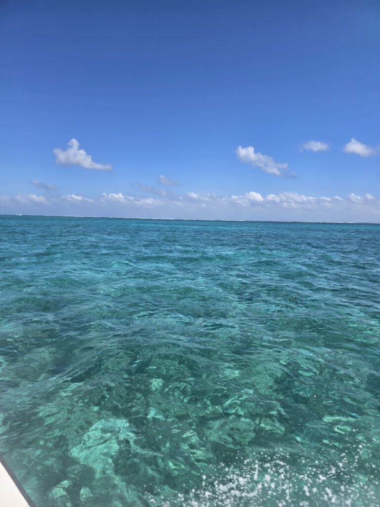 "Beautiful, calm turquoise waters extending toward the horizon under a clear blue sky."