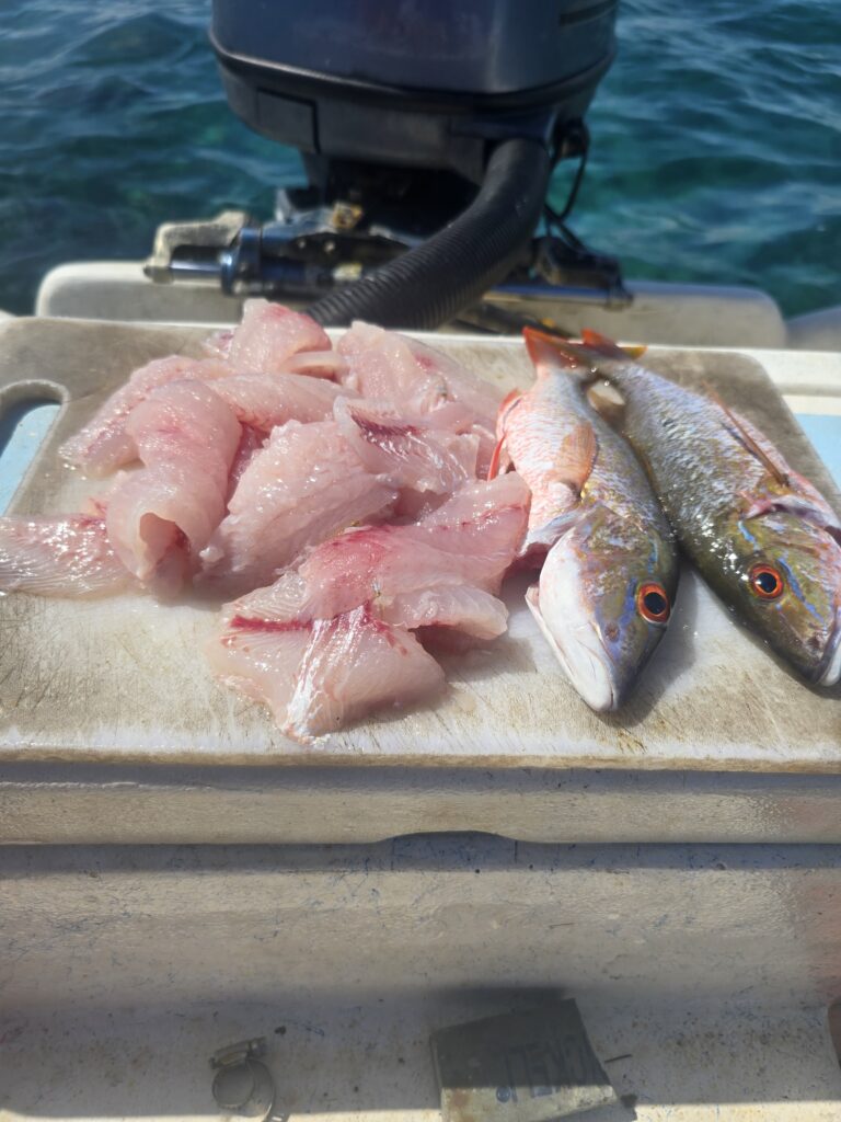 "Freshly cleaned white fish fillets and two whole snappers prepared for a beach-side meal."